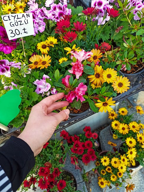 Close-up of a hand holding a pink and white flowering plant among brightly colored flowers, including yellow daisies and red blooms, displayed in small black plastic pots on a metal rack at a florist